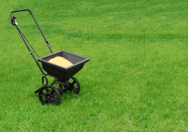 Castle Rock Lawn Treatment