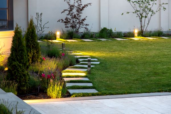 Castle Rock Landscape Lighting Service