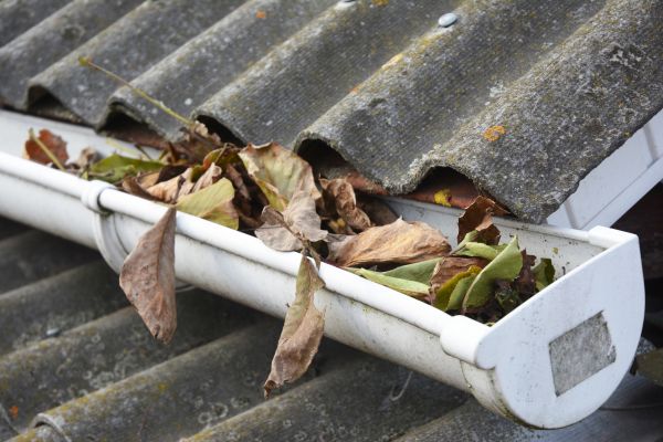 Castle Rock Gutter Cleaning