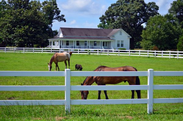 Castle Rock Fence Service